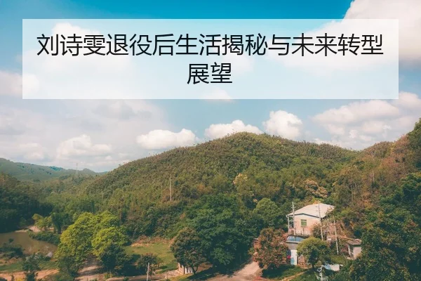 刘诗雯退役后生活揭秘与未来转型展望